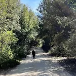 Toscano * 몬테리지오니