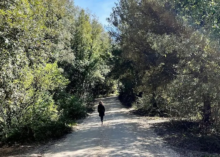 Toscano * Monteriggioni